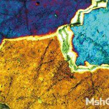 Professional Polarizing Microscope MP41 thumbnail-3