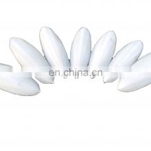 Best price of Cuttlefish bone for Bird feed and Medicine