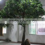 High Imitation Artificial Polyscias Trees