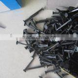 Bluish Shoe Tack Nails