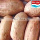 Good Quality Peanut