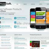 Website Design and Development
