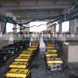 Portable Gasoline Generator