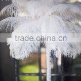 Wedding Decoration Centerpieces Wholesale Ostrich Feather thumbnail-2