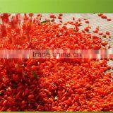 Super Fruit Gojiberry With Low Price thumbnail-2