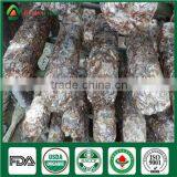 Mushrooms Product Type and Shiitake Mushroom Growing Seed Spawn Log thumbnail-5