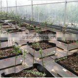 5.0 mm SBS Modified Bitumen Waterproof Membrane With PE thumbnail-4