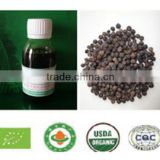 Wholesale Fresh Black Pepper Oil
