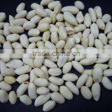 China Blanched Peanut Kernels 25/29 With Best Price Quality Choice
