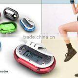 Precise Pedometer