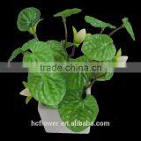 High Class Export Imitation Plants for Indoor Ornaments thumbnail-1
