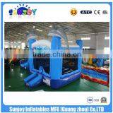 Hot Commercial Grade Cheap Dolphin Water Slide ,28ft Castle Slide thumbnail-5