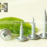 Galvanized modified truss head self tapping screw to wood
