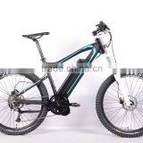 e fat bike with bafang central motor 48V 1000W ( HJ-M21 with mid motor )