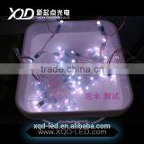 Hot Sell in America Dc12V Pixels Led Light Lamp Ws2811 12mm 0.3w 50pcs a String for Christmas Decoration thumbnail-4