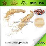 GMP High Quality Panax Ginseng Capsule thumbnail-1