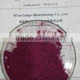 Acai Berry Extract thumbnail-3