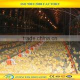Extruded High Density Polyethylene Flat Net thumbnail-4