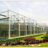 Greenhouses China thumbnail-2