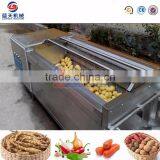 Stainless Steel Black Pepper/sweet Potato Processing Machinery Machine thumbnail-4