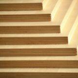 Film Faced Plywood thumbnail-2