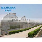 Baolida High Quality Plastic Greenhouse for Chili thumbnail-3