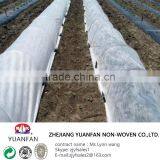 PP Spun Bonded Non Woven Agriculture Fabric for Plant Cover thumbnail-4