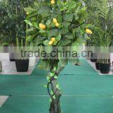 Tropical Mango Trees for Sale Chinese Goods Wholesale Artificial Mango Tree thumbnail-1