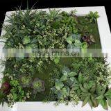 Fake Grass Wall China Factory House Use Artificial Living Wall thumbnail-5