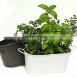 Herb Growing Kits, Seed Growing Kits, Mini Kitchen Garden thumbnail-1