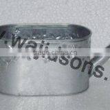 Watering Cane Fancy ,Watering Canes thumbnail-5