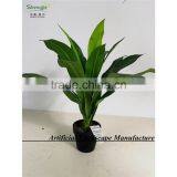 SAS201604 Cheap Artificial Green Plant Bonsai,Indoor Decor Green Plants thumbnail-6