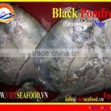 FROZEN BLACK POMFRET WHOLE ROUND thumbnail-1