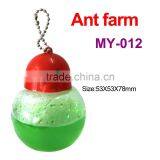 Novelty Colorful Antspace Toys for Kids/Ant Farm Toys thumbnail-1