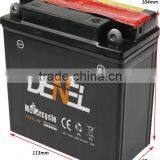 12v Lead Acid Starting Battery DRY-CHARGED Maintenance-free thumbnail-2