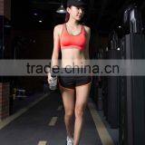Ladies Sport Bra With Beautiful Colors thumbnail-4