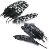 Skeleton /Cobweb Printed Feather For Party DIY Decoration
