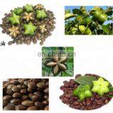 Sacha Inchi Seed Shelling Machine thumbnail-3