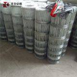 Surrounding Type Metal Fence for Grassland /field Fence Attractive Appearance thumbnail-2