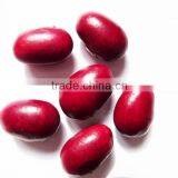 Organic Japaness Red Kidney Bean thumbnail-1