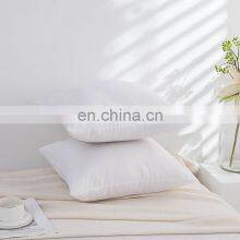 European Style Case High Quality Custom Sofa Bed Washable Decorative African Wholesale Throw Pillow Inserts thumbnail-4