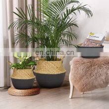 Foldable Seagrass Plant Basket Handmade Woven Seagrass Basket thumbnail-3