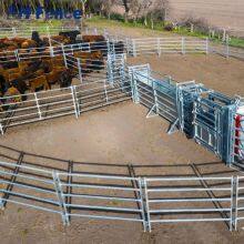 Professional Cattle Panel: Designed for Superior Stability & Security in Containing Cattle and Large Animals thumbnail-1