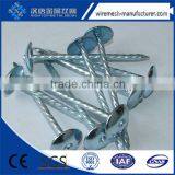 Galvanize Roofing Nail in Umbrella Head With Plastic/rubber Washer