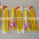 Cooler Bag for Frozen Food thumbnail-6