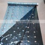 Silver and black Plastic mulch film with holes