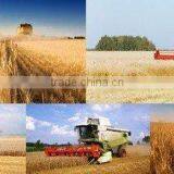 Blince High Pressure Oil Sealed VQ Rotary Vane Oil Pump for Harvester Scrollbars thumbnail-6