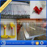 Large-scale Automatic Battery Quail Cage