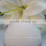 Face Cleansing Sponge thumbnail-1