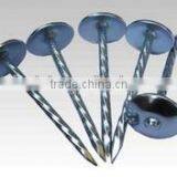 2016 NEW Products Roofing Nails Galvanized( 3" x 4 ) Boa Sorte Trade Ssurance Sinolink thumbnail-1